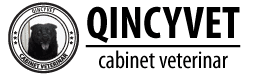 logo-qincy
